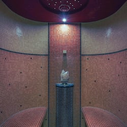 Sauna, Dampfbad, Körperbehandlungen, Schlammbad, Aromatherapie