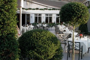Terras