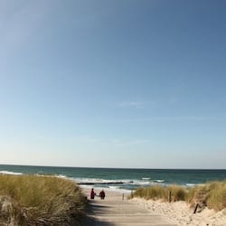 On the beach