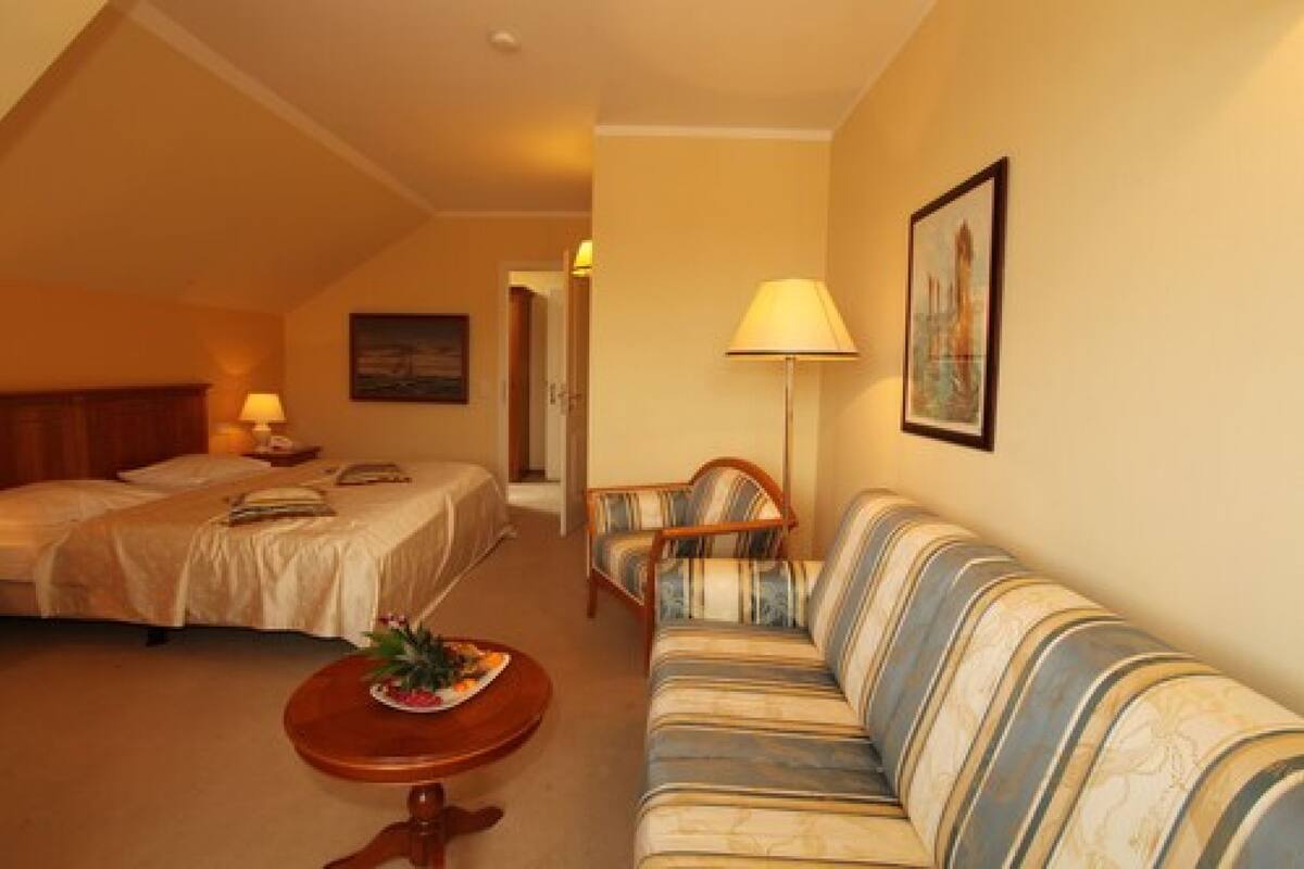 double room single use, non smoking | living area | tv