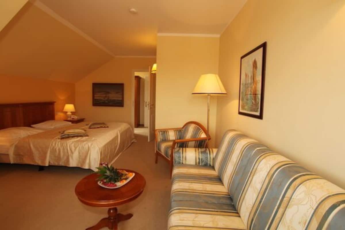 Double Room Single Use, Non Smoking | Living area