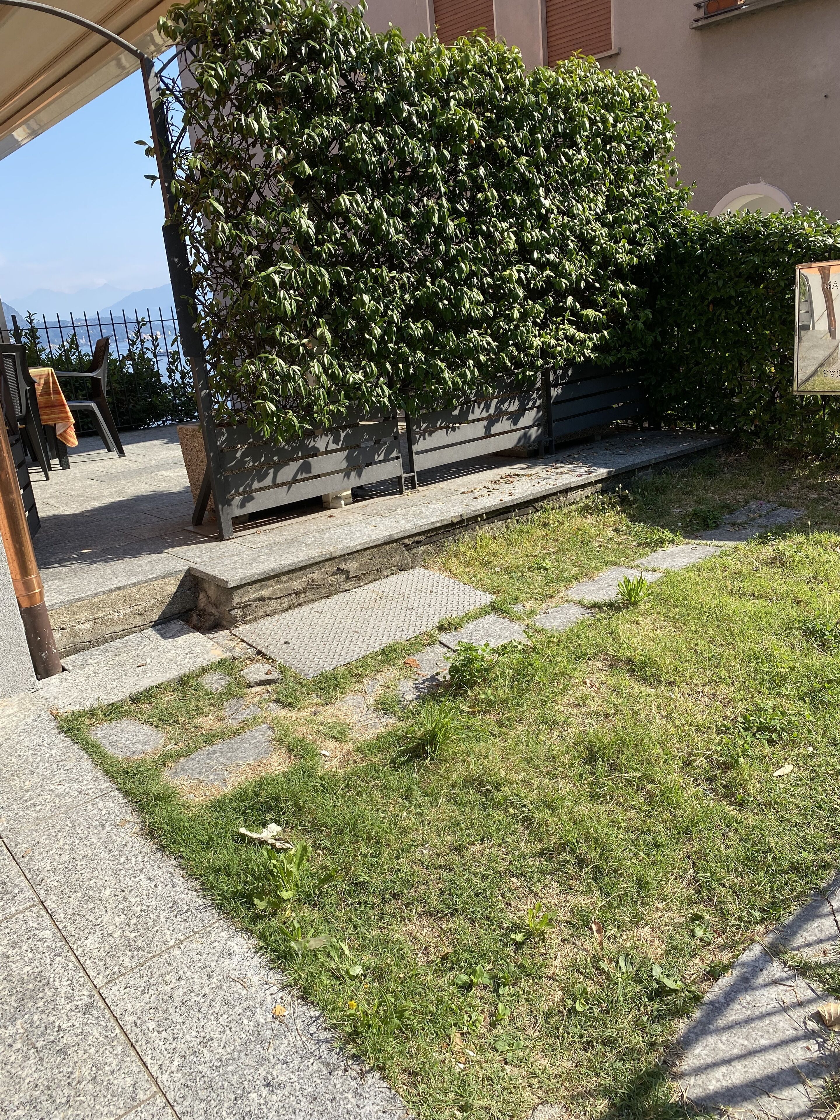 A paved pathway with grass patches, a bench, and a tree.