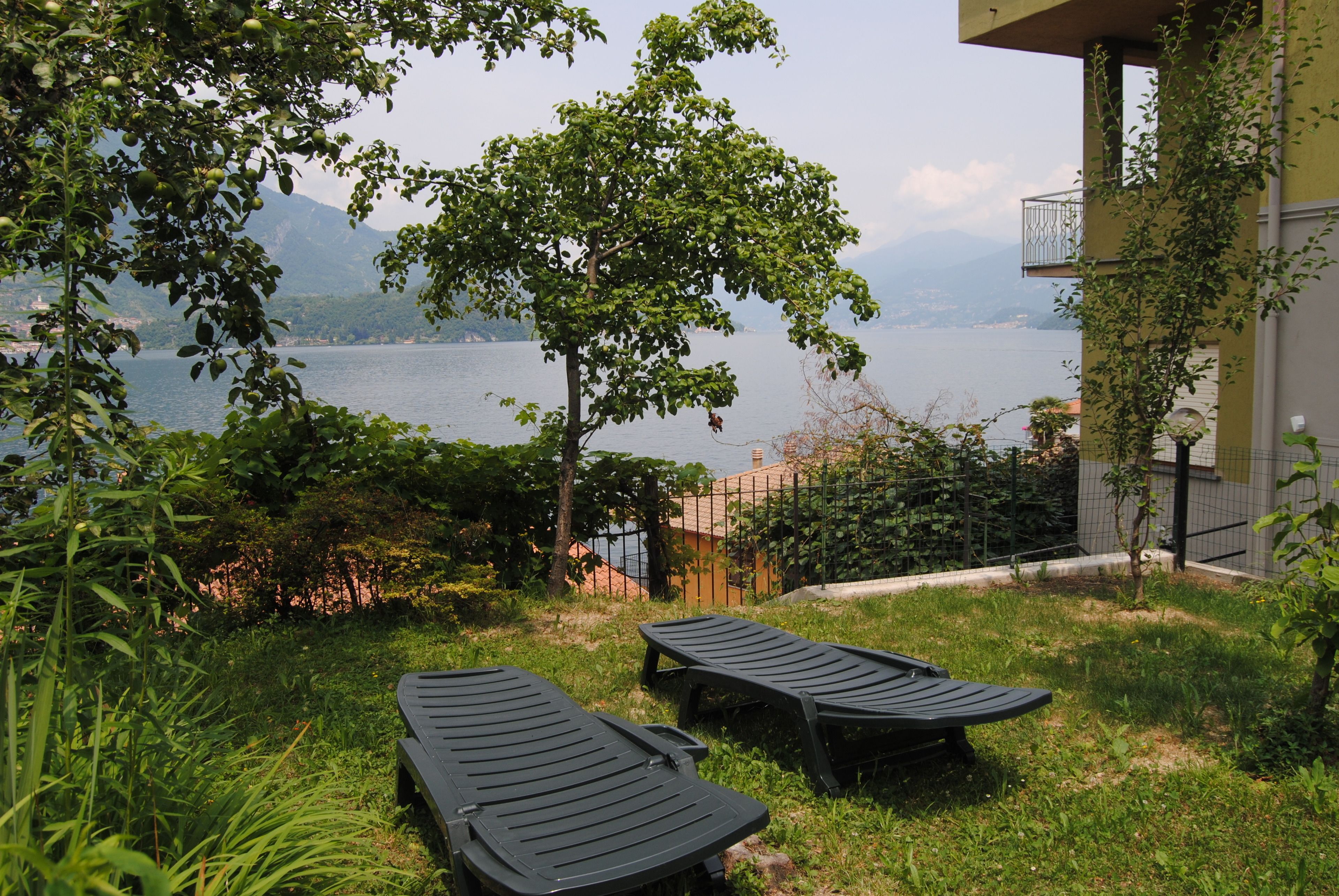 A view of a lake with two lounge chairs and a tree in the foreground.