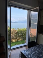 Apartamento clásico, vistas al lago | Cocina privada | Frigorífico grande, microondas, horno y placa de cocina