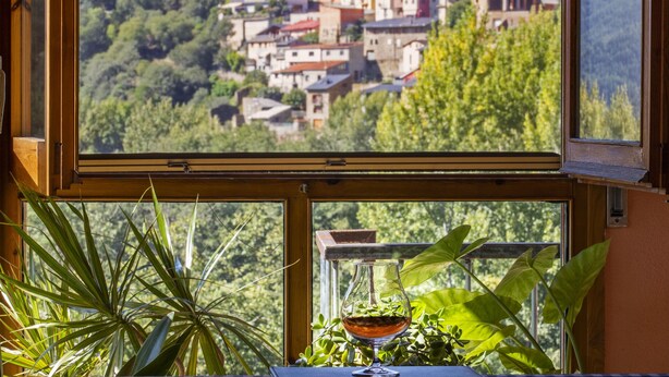 A window with a view of a hillside village, a table with a glass and a plant, and a potted plant in the foreground.