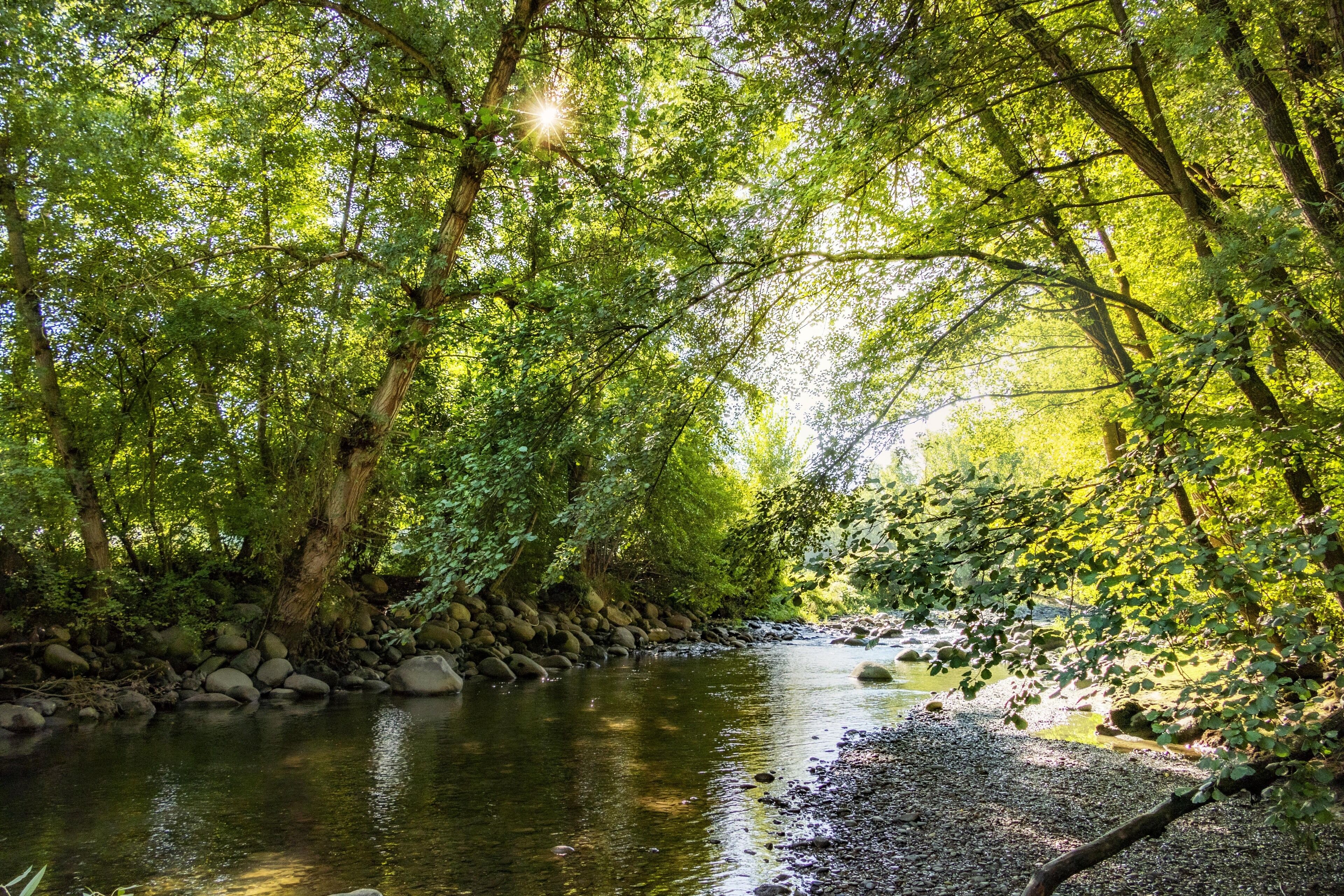 Photo - Hotel Restaurante La Glorieta