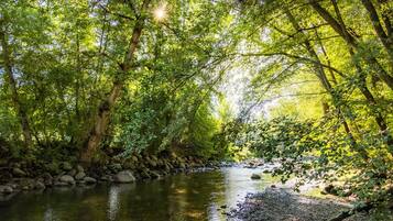 A serene river flowing through a densely wooded area with sunlight filtering through the trees.