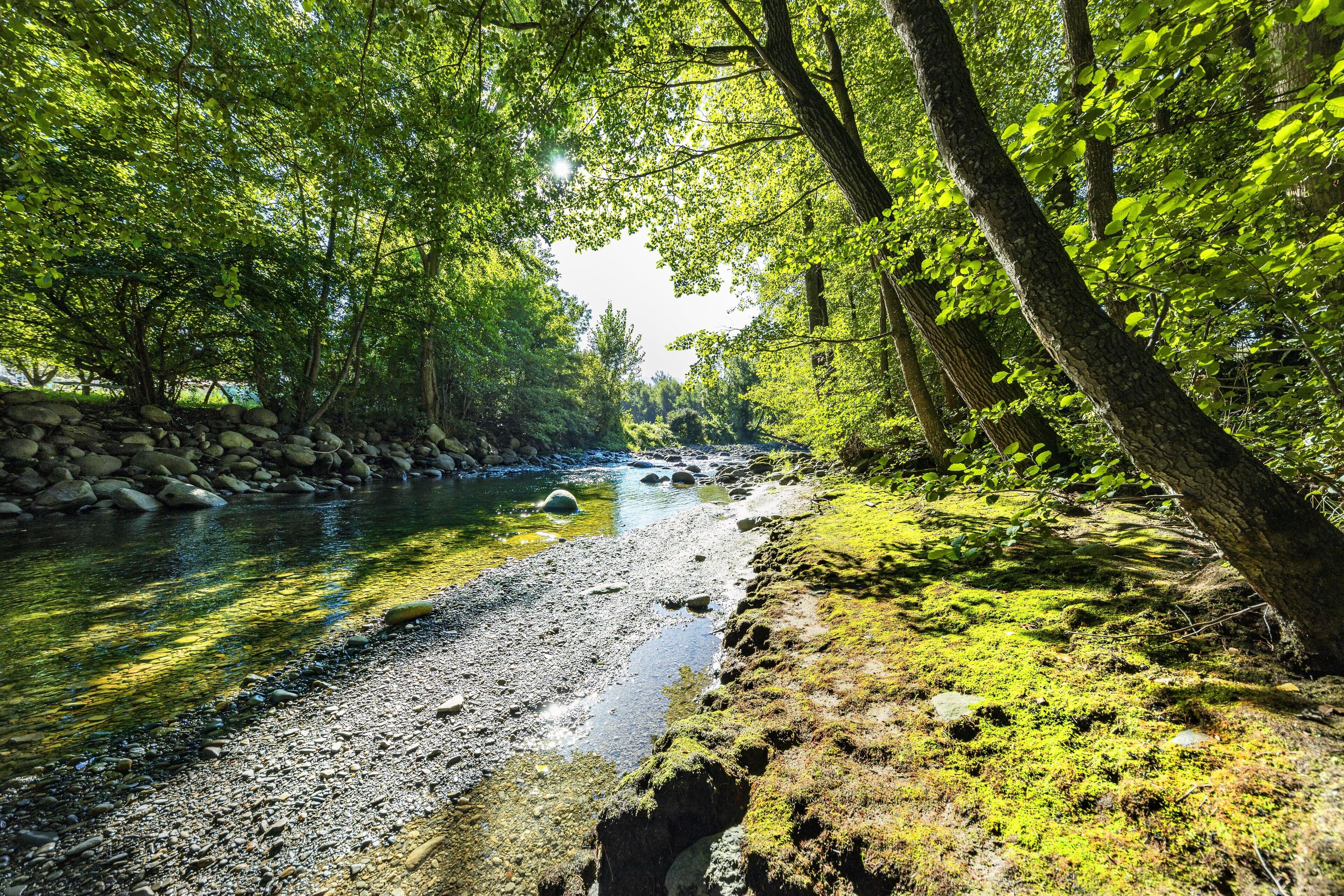 Photo - Hotel Restaurante La Glorieta