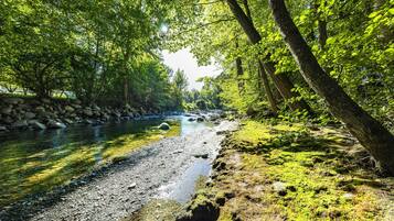 Une rivière à l’eau claire, bordée de rochers et de berges couvertes de mousse, avec des arbres qui se dressent au-dessus.