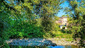 A riverside view with a building in the background.