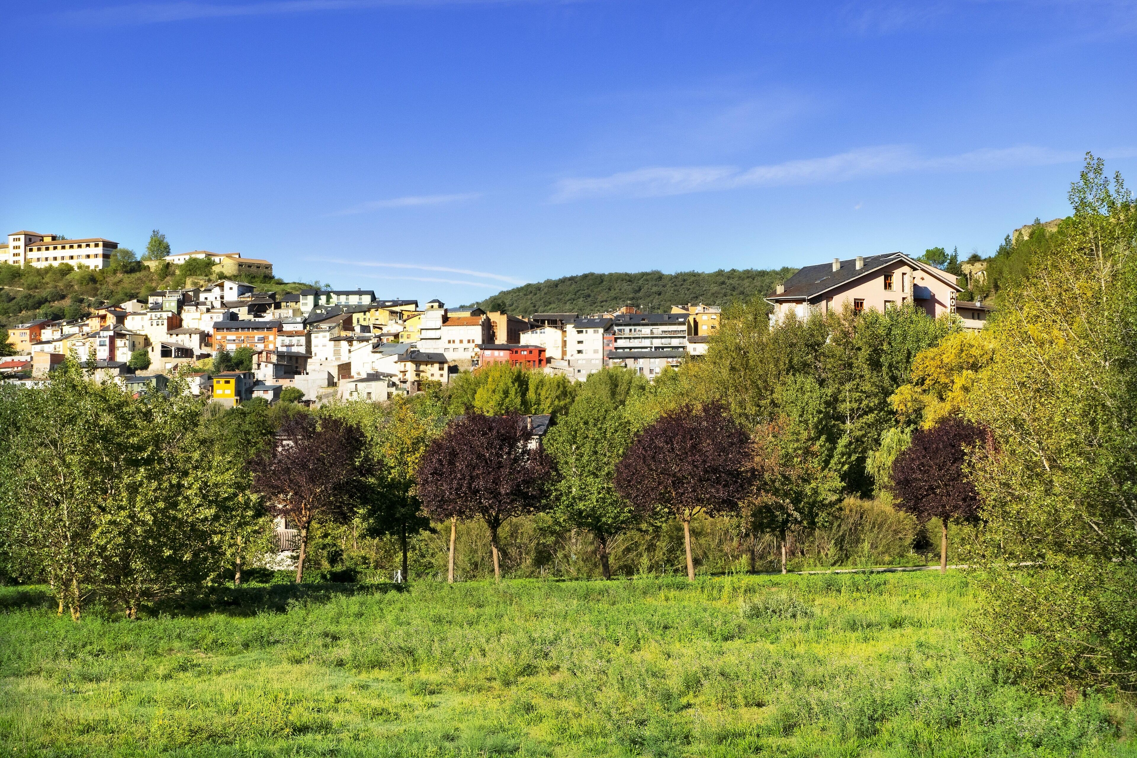Un pueblo en una ladera con edificios y árboles.