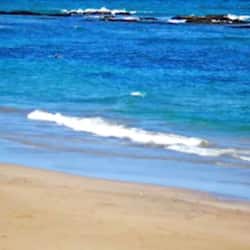 Plage, bar de plage