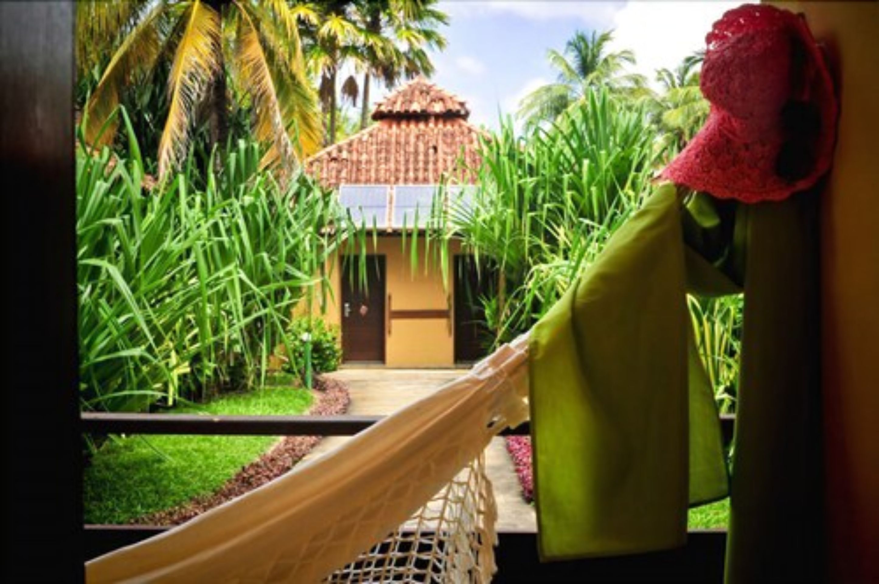 A view of a thatched-roof structure with a pathway leading to it, surrounded by lush greenery and a hammock.