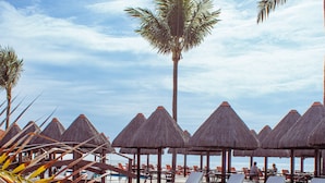 A poolside area with lounge chairs and thatched umbrellas, a palm tree, and a clear sky. - Ocaporã Hotel - All Inclusive (Ipojuca)