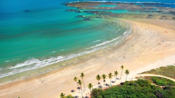 A beach with clear turquoise waters, sandy shores, and palm trees. - Ocaporã Hotel - All Inclusive (Ipojuca)
