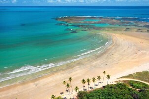 Una playa con aguas turquesas cristalinas, orillas de arena y palmeras.