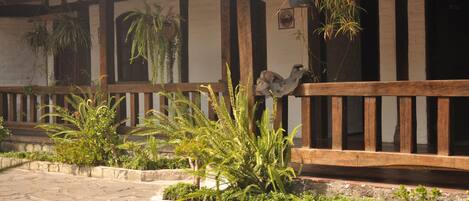 A building with a wooden balcony, stone steps, and hanging plants.