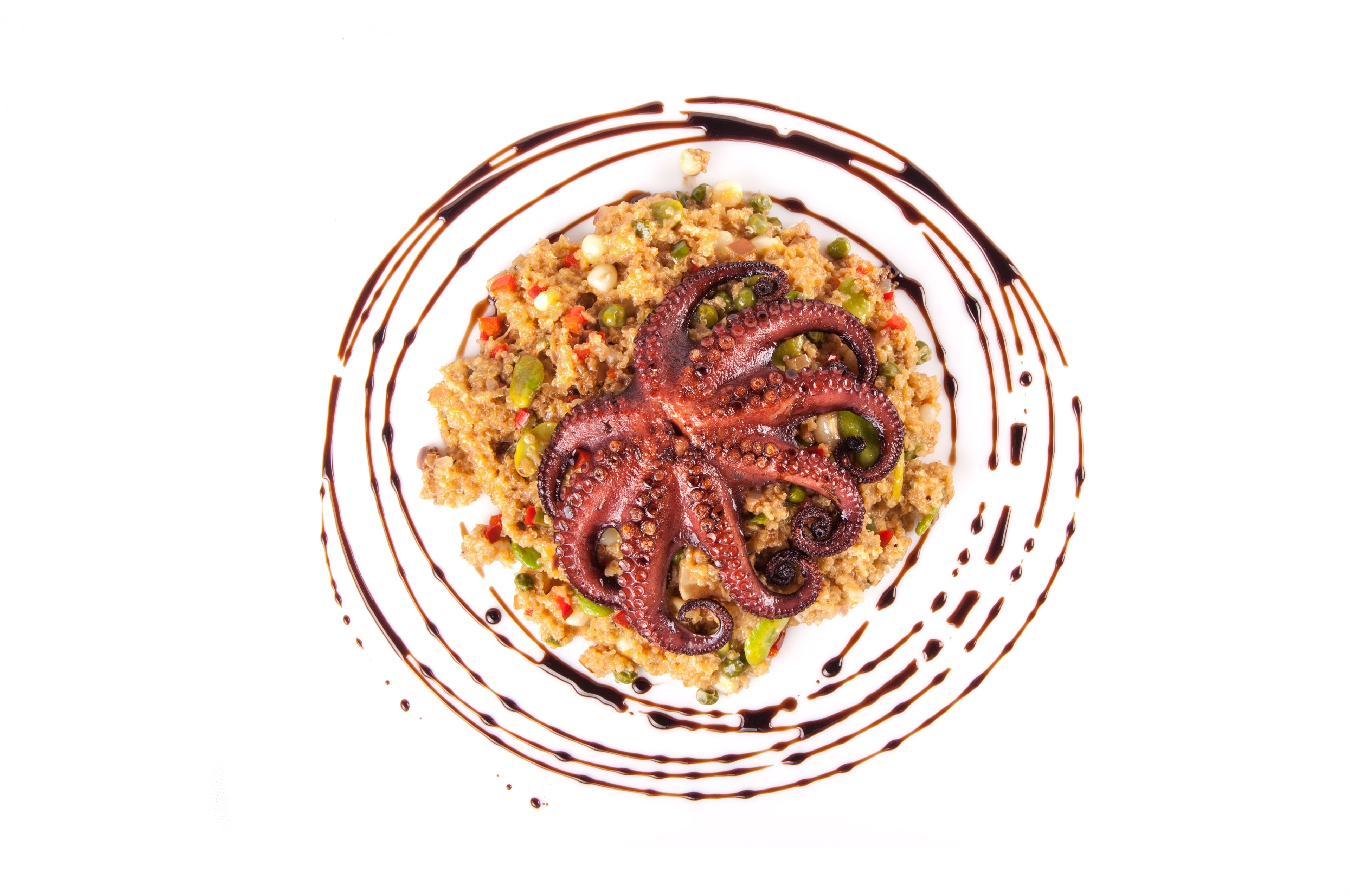 A plate of food with octopus and rice, surrounded by a decorative sauce pattern.
