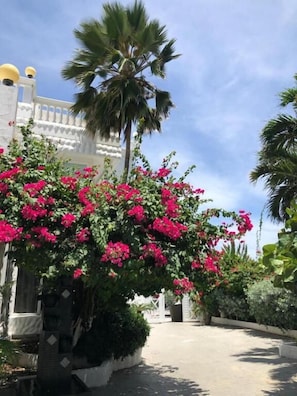 Property grounds - Le Castel Blanc Hotel Boutique (San Andrés)