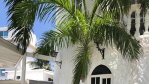Un espace patio avec une table et des chaises blanches, entouré de grandes plantes vertes et d’un palmier.