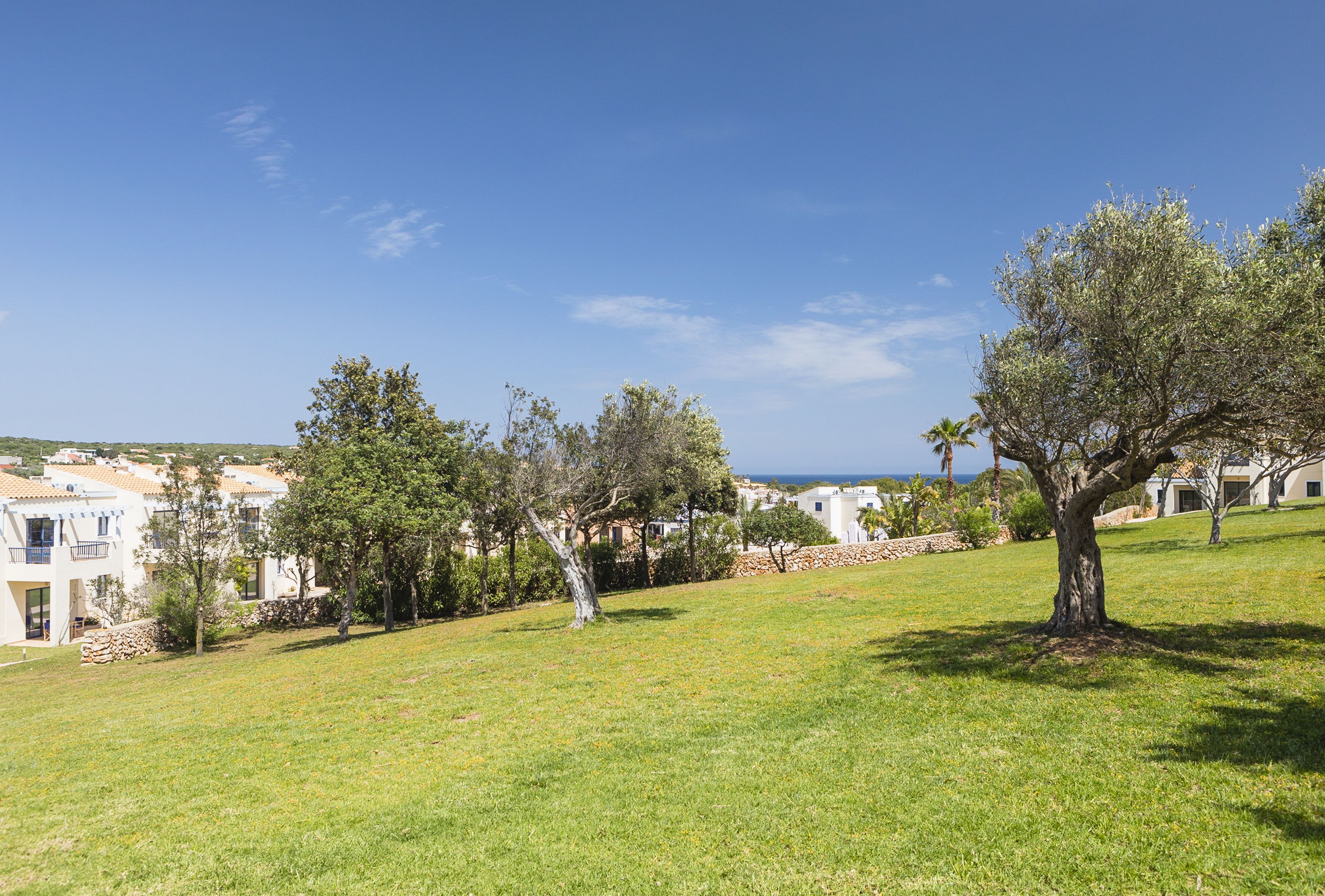 A grassy area with trees and buildings in the background.