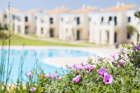 A swimming pool surrounded by purple flowers and a row of white buildings with orange roofs in the background.