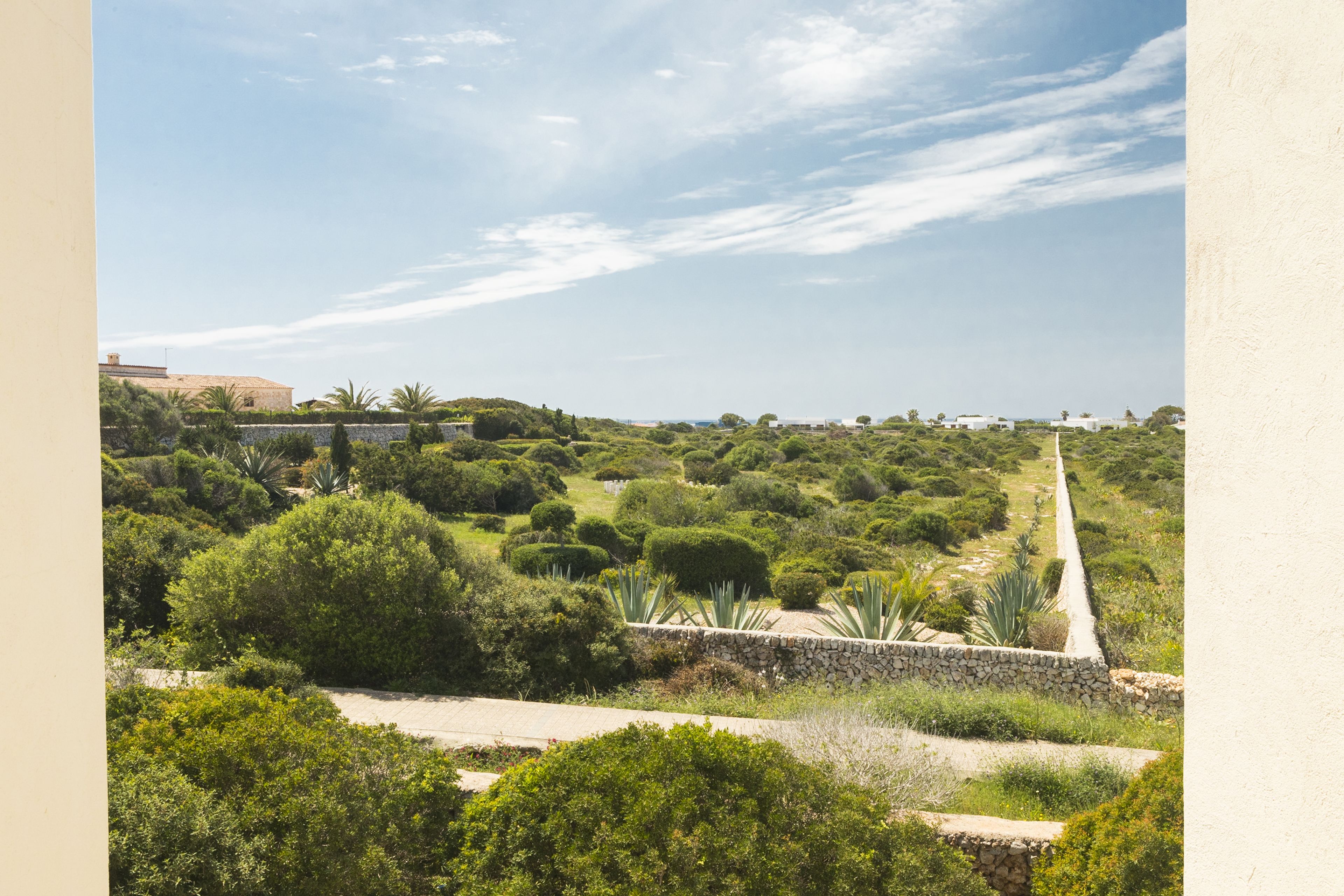 A landscaped garden with a stone pathway, various shrubs, and a distant view of buildings.