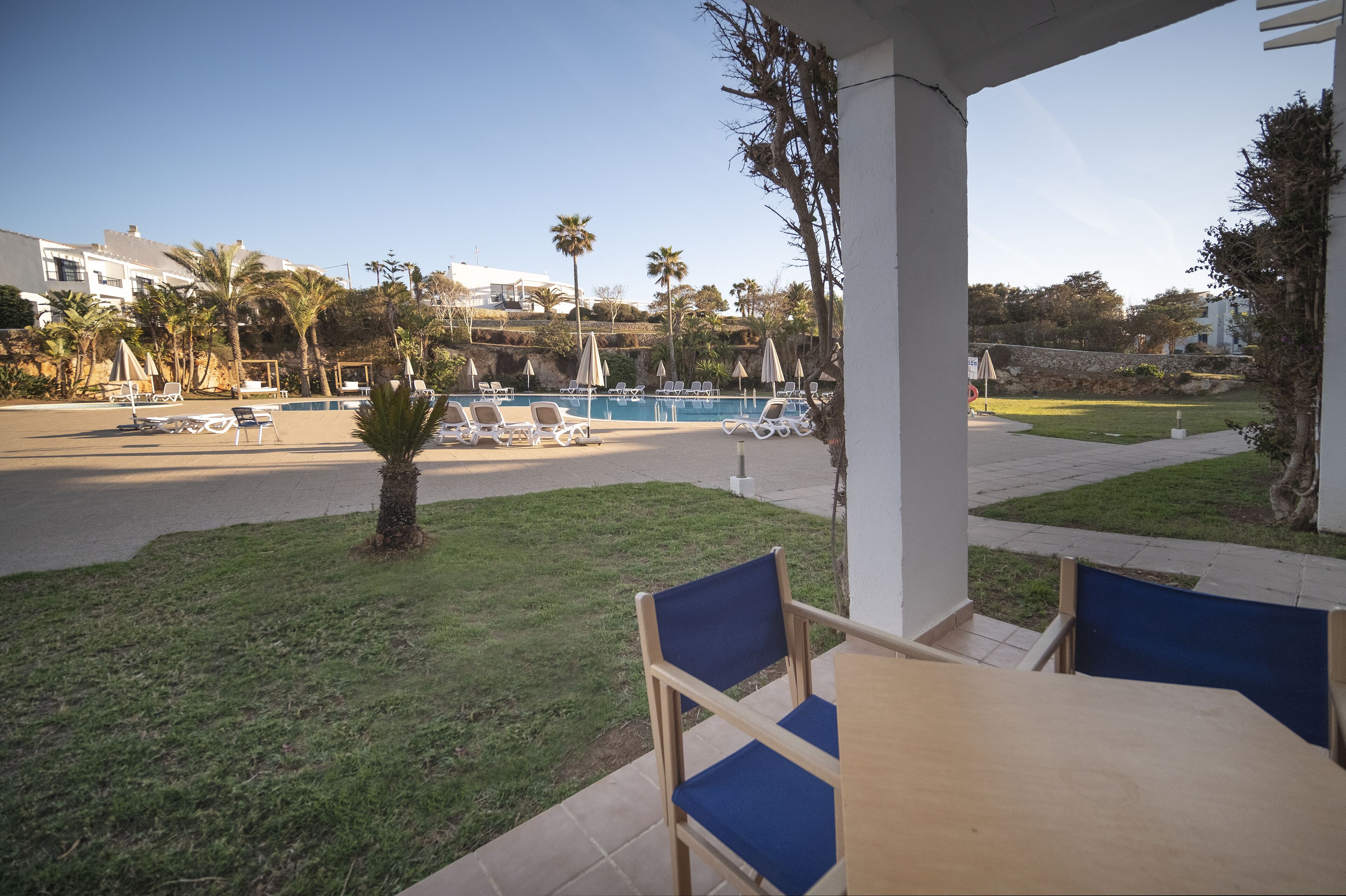 Ein Poolbereich mit Liegestühlen und Sonnenschirmen, eine kleine Palme sowie Blick auf den Pool und die umliegenden Gebäude.