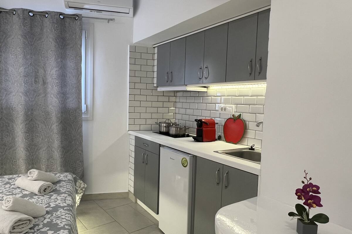 deluxe studio, ground floor | private kitchen | fridge, electric kettle