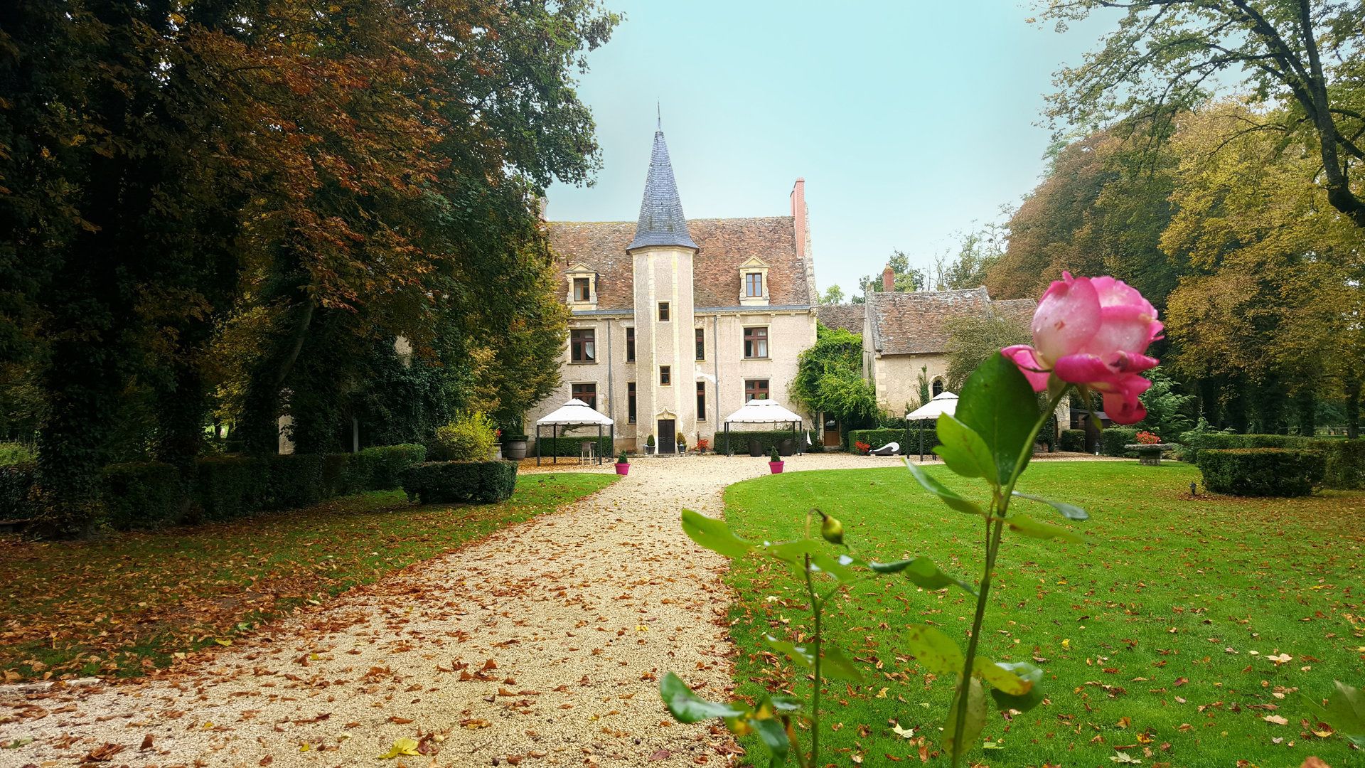 A pathway leading to a building with a prominent tower, surrounded by well-maintained hedges and a rose in full bloom.