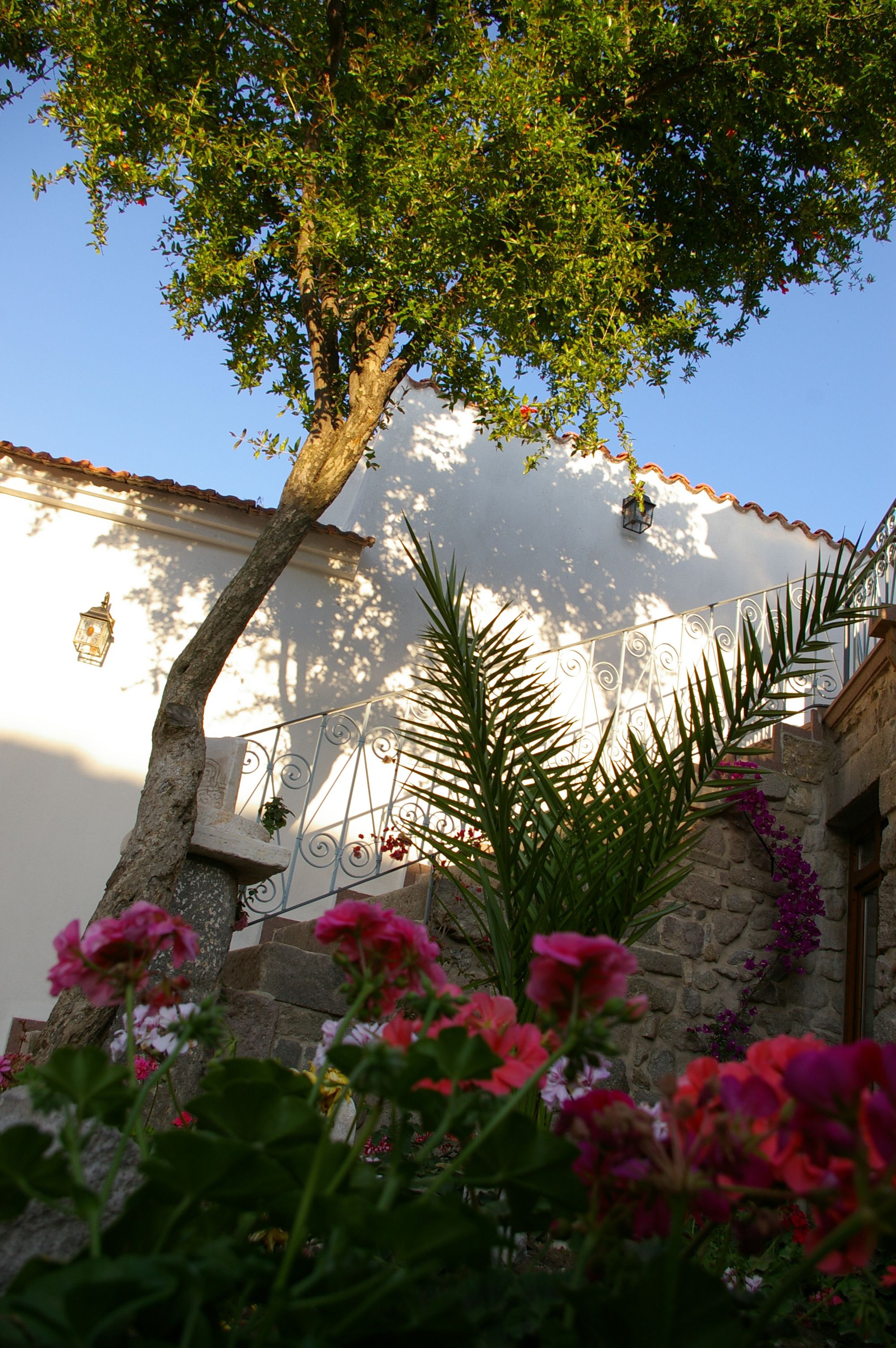 standard double or twin room | garden