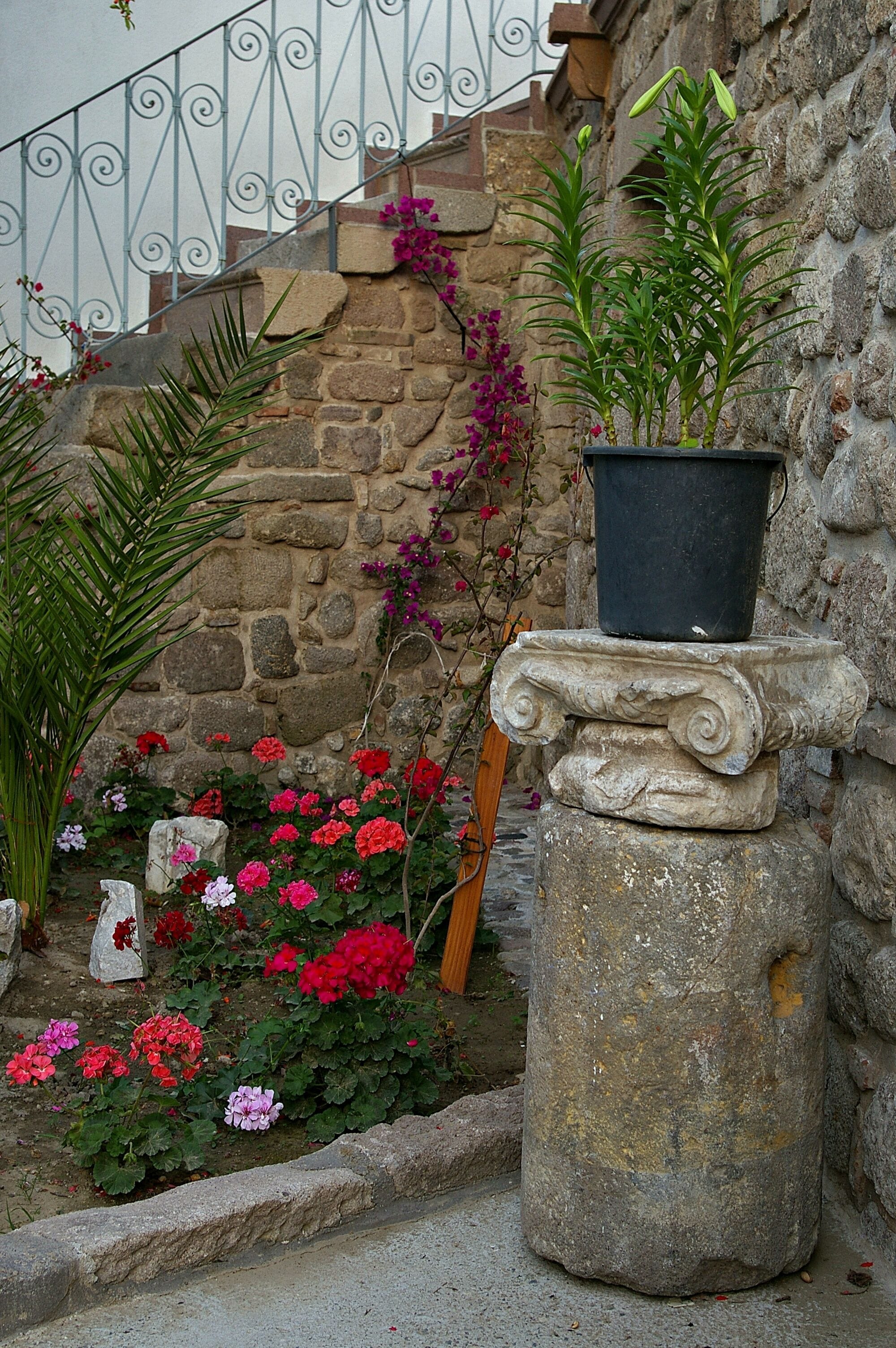 standard double or twin room | view from room