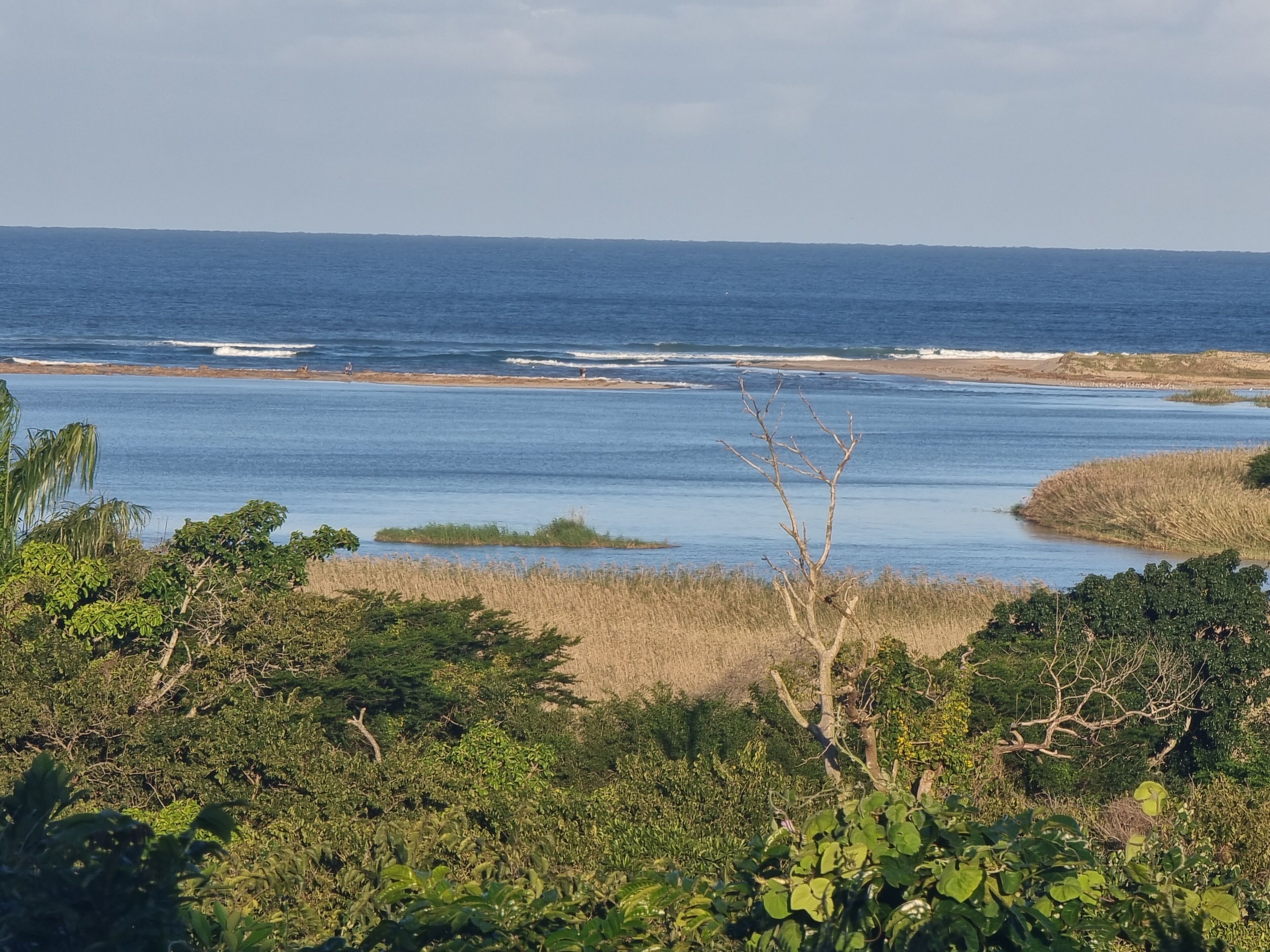 Paisaje costero con vegetación densa y vista al océano.