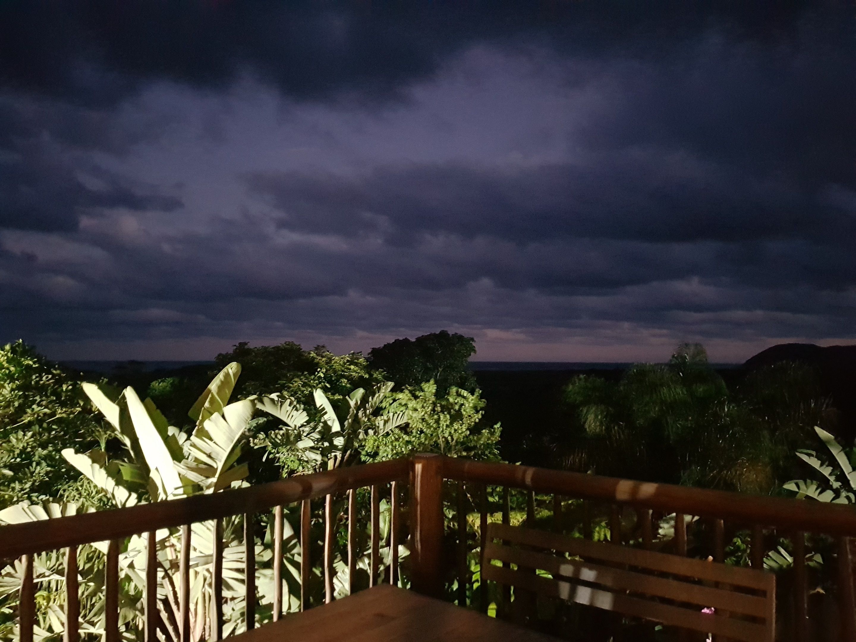 A wooden deck with a railing overlooking a lush garden and a dark, cloudy sky.