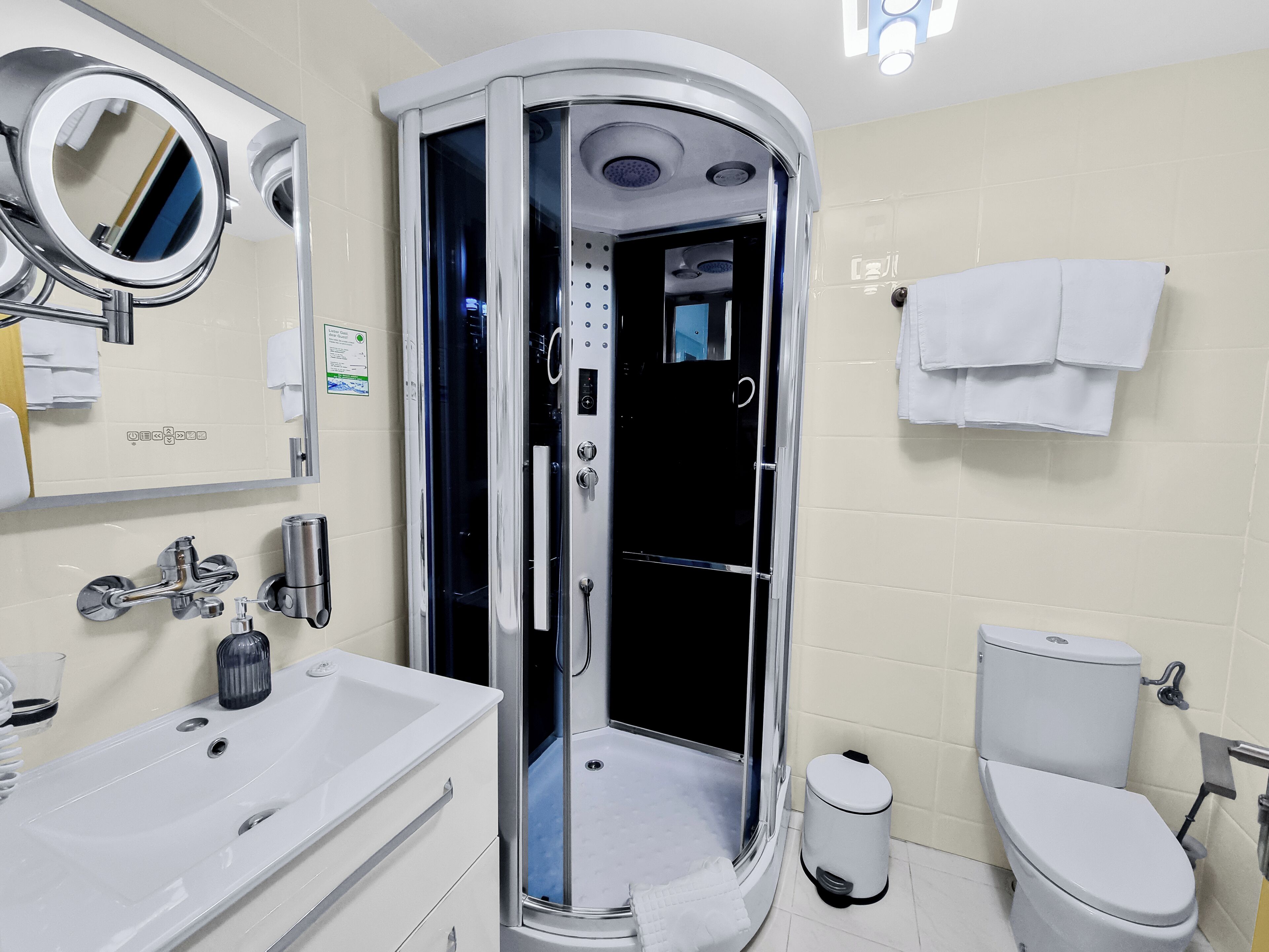 A modern bathroom with a walk-in shower, a sink, a toilet, and a mirror.