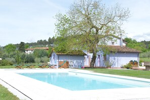 Property grounds - Casa Fontanino (Montecarlo)