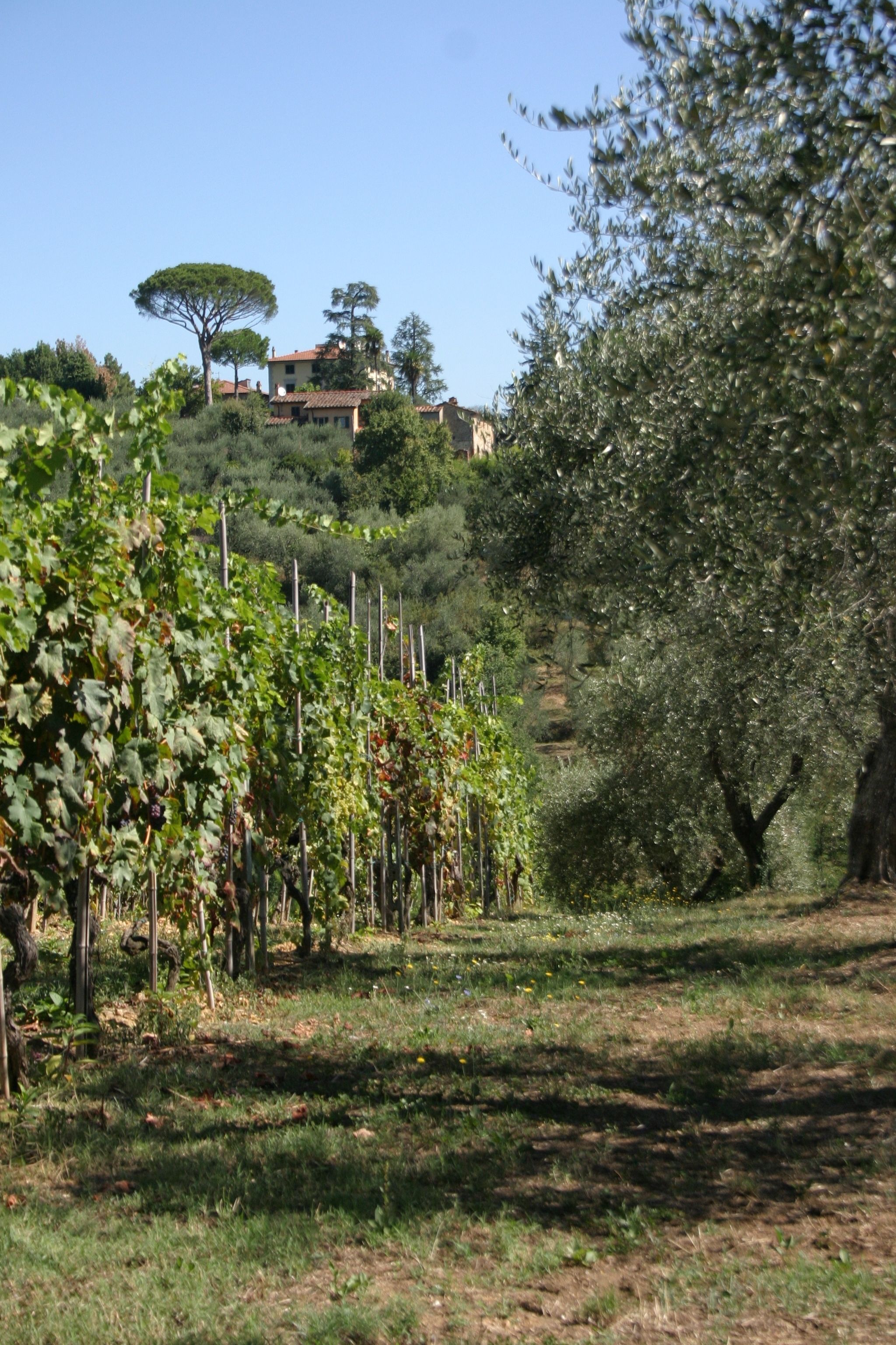 Foto - Casa Fontanino