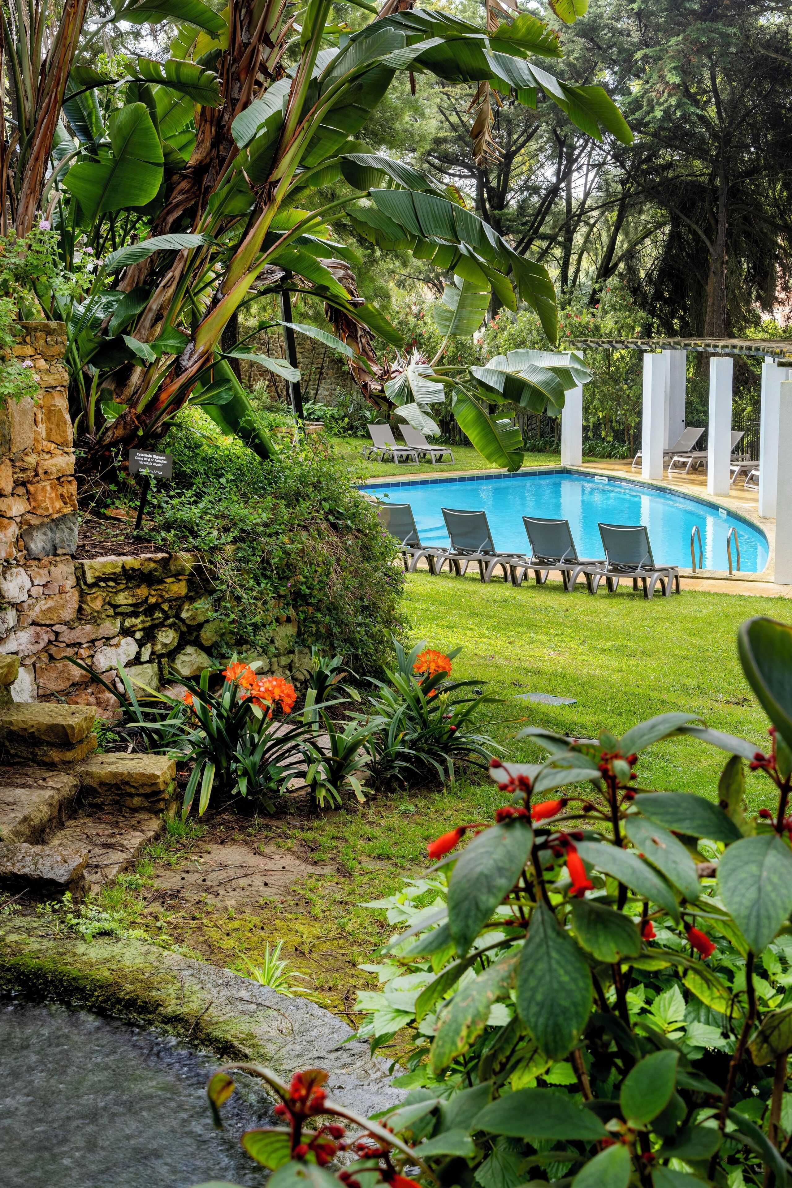 A pool area with lounge chairs, a stone wall, and lush greenery.