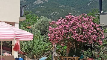 Sesongbasert utendørsbasseng og bassengparasoller