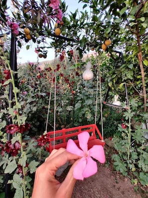 Garden - CC's Butik Hotel (Fethiye)