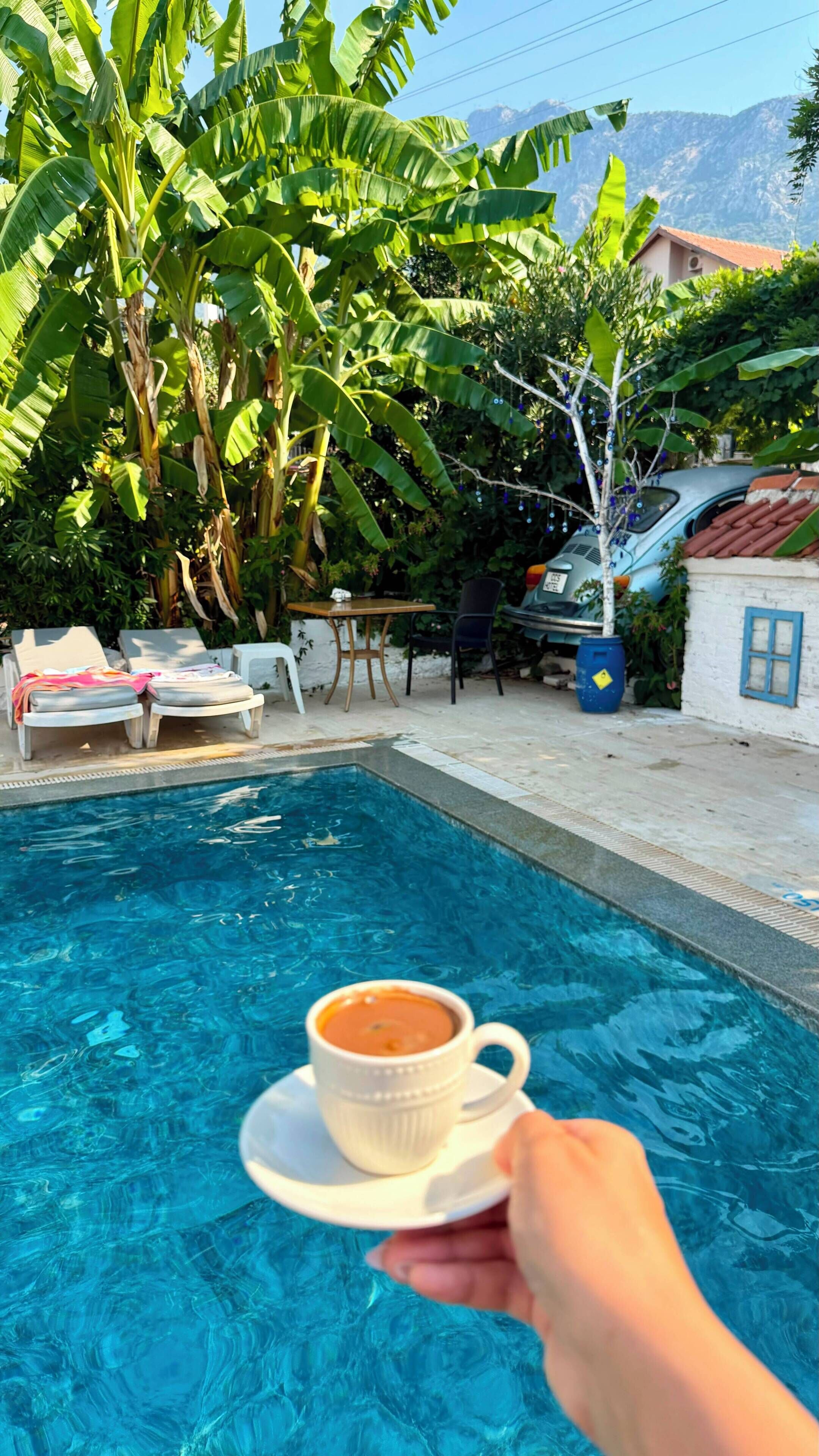 A swimming pool with lounge chairs and a table, surrounded by banana trees and a mountain view.