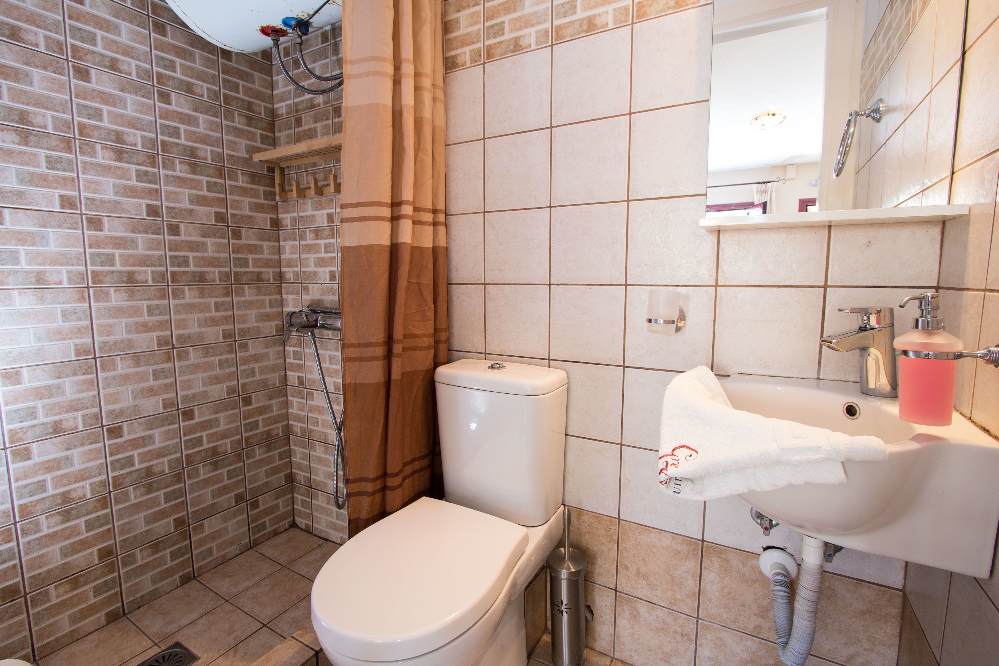 Een badkamer met toilet, douche en wastafel.