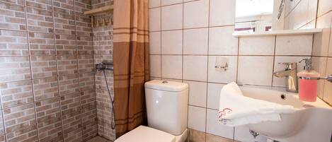 Een badkamer met toilet, douche en wastafel.