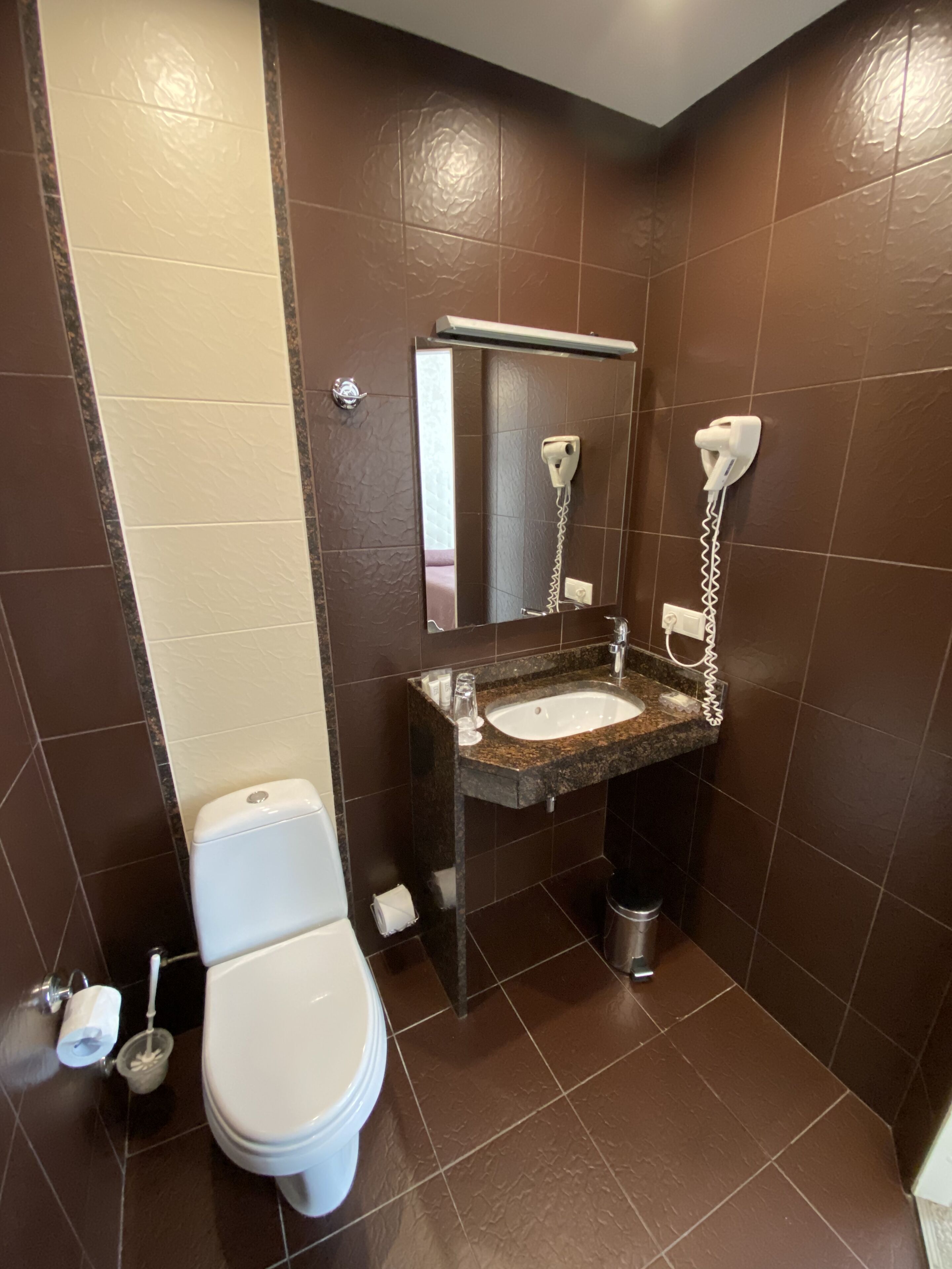 Une salle de bain équipée de toilettes, d’un lavabo et d’un sèche-cheveux.