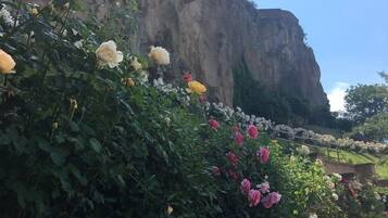 Ein Garten mit Rosen und einer Steinmauer vor einer felsigen Klippe.