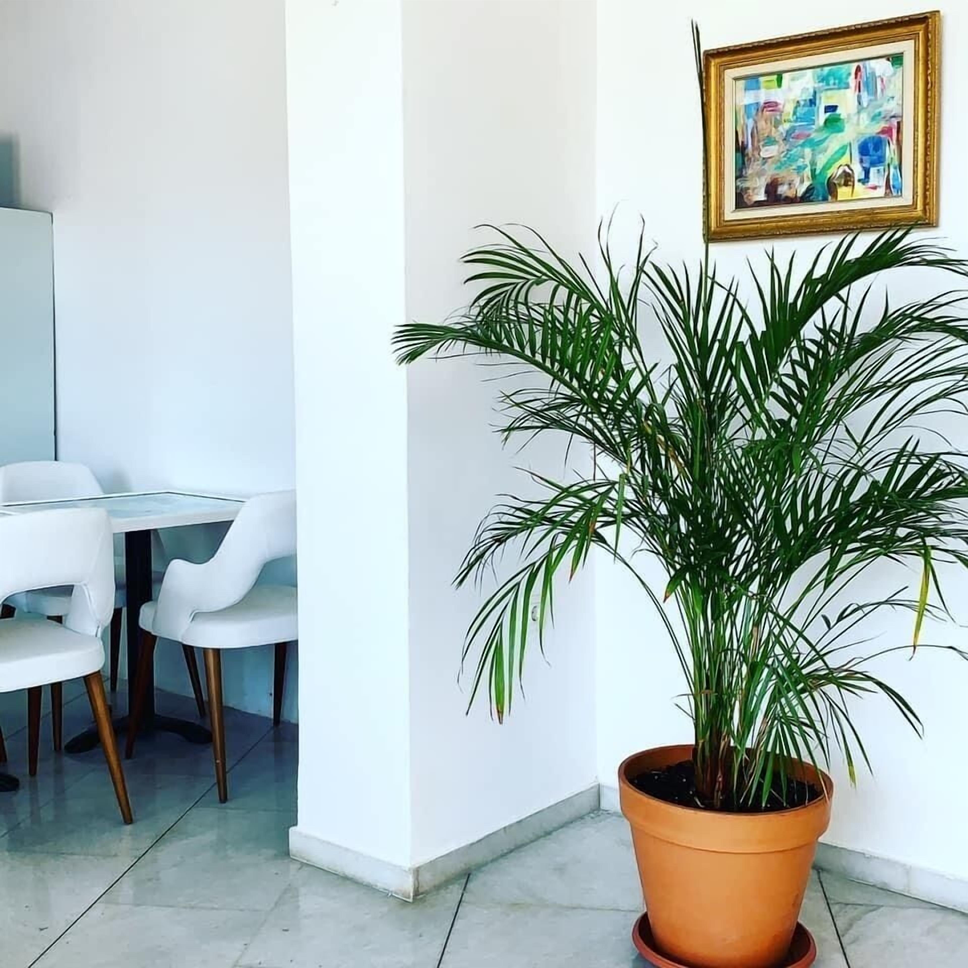 Tempat makan keluarga