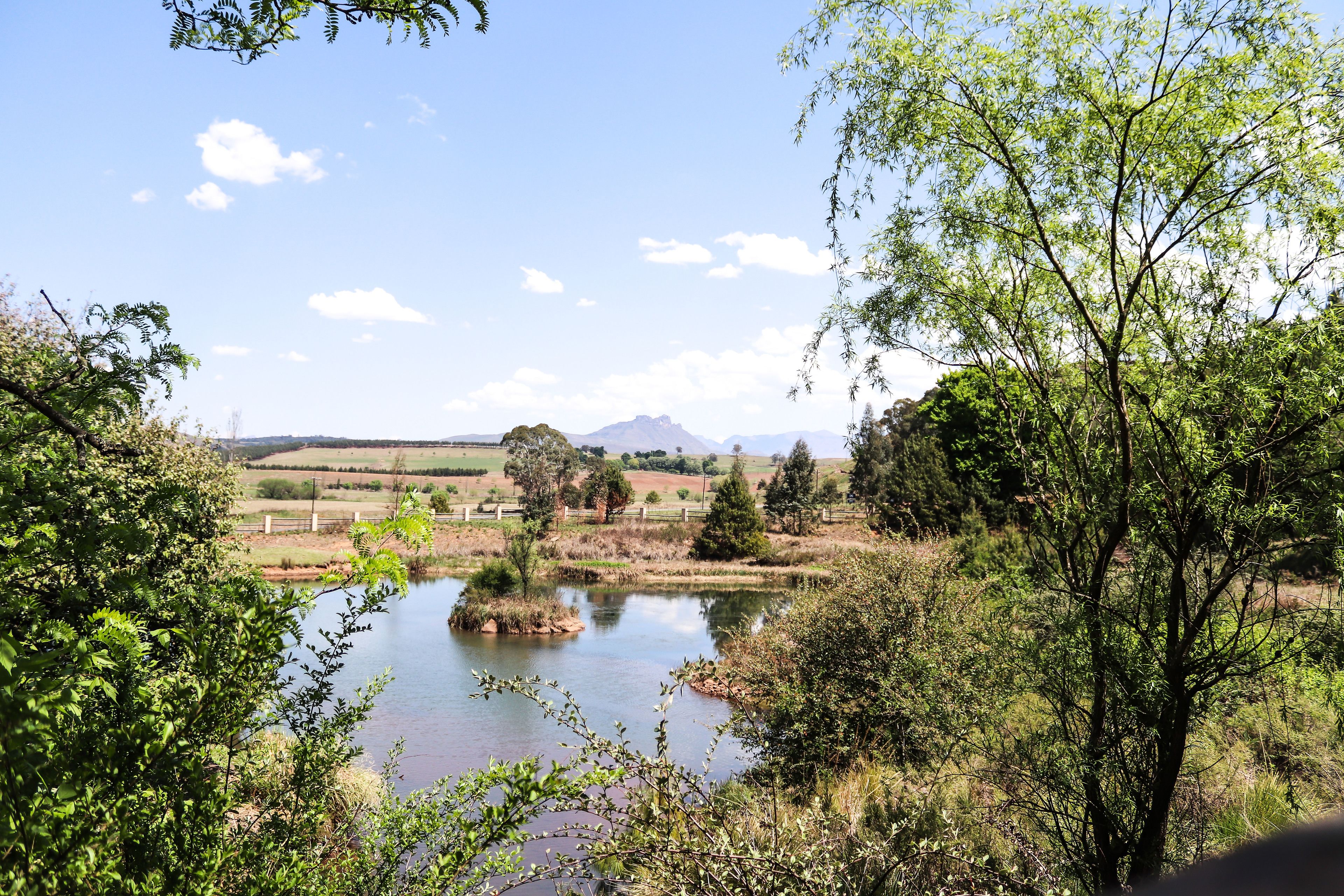 A serene landscape with a small pond surrounded by lush greenery and trees.