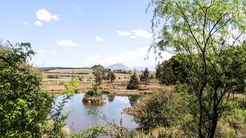 A serene landscape with a small pond surrounded by lush greenery and trees.