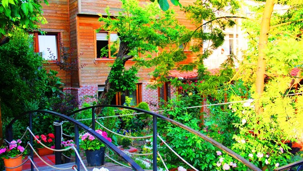 Studio Suite, Garden View (Quadruple) | View from room