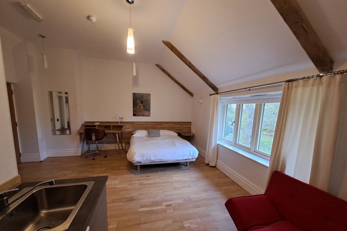 A room with a bed, a desk, a red chair, a window with curtains, and a sink.